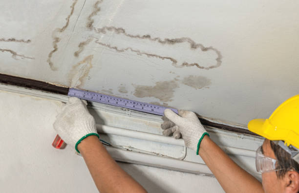 Reliable Basement Water Removal contractor in Greenville, PA by Water Damage Irwin